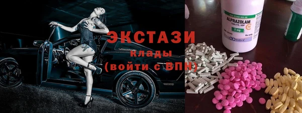 гидра Вяземский