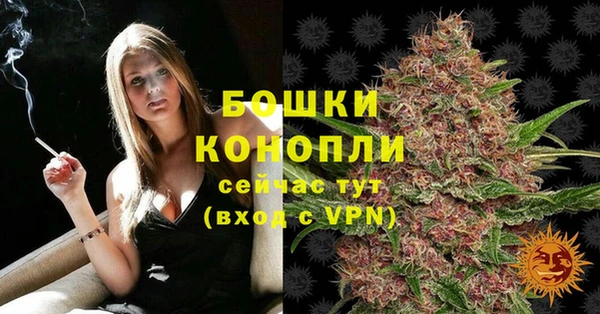 гидра Вяземский