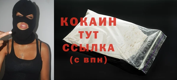 гидра Вяземский