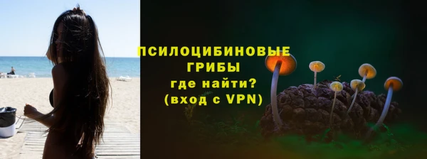 гидра Вяземский