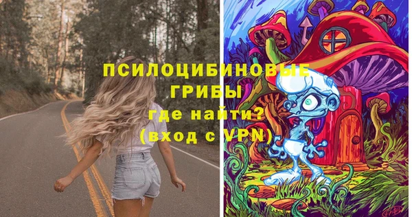 гидра Вяземский