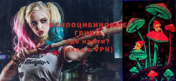 гидра Вяземский