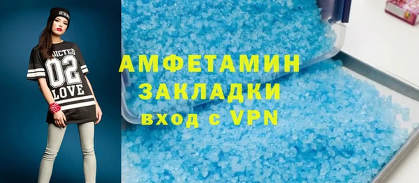 гидра Вяземский