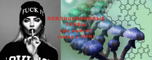 гидра Вяземский