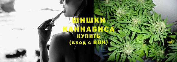 гидра Вяземский