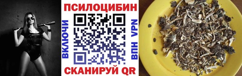 Купить  Колпашево  Псилоцибиновые грибы прущие грибы 